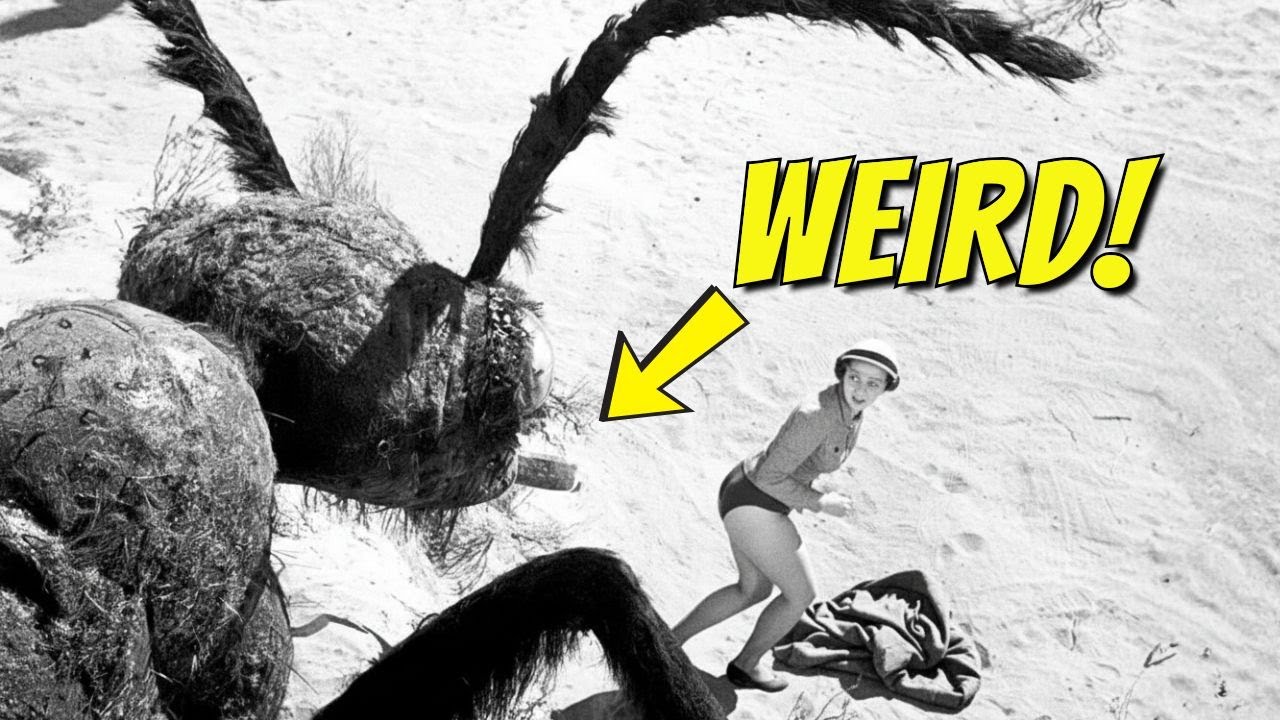 THEM! (1954) : 16 Weird Things The Directors Tried To Hide