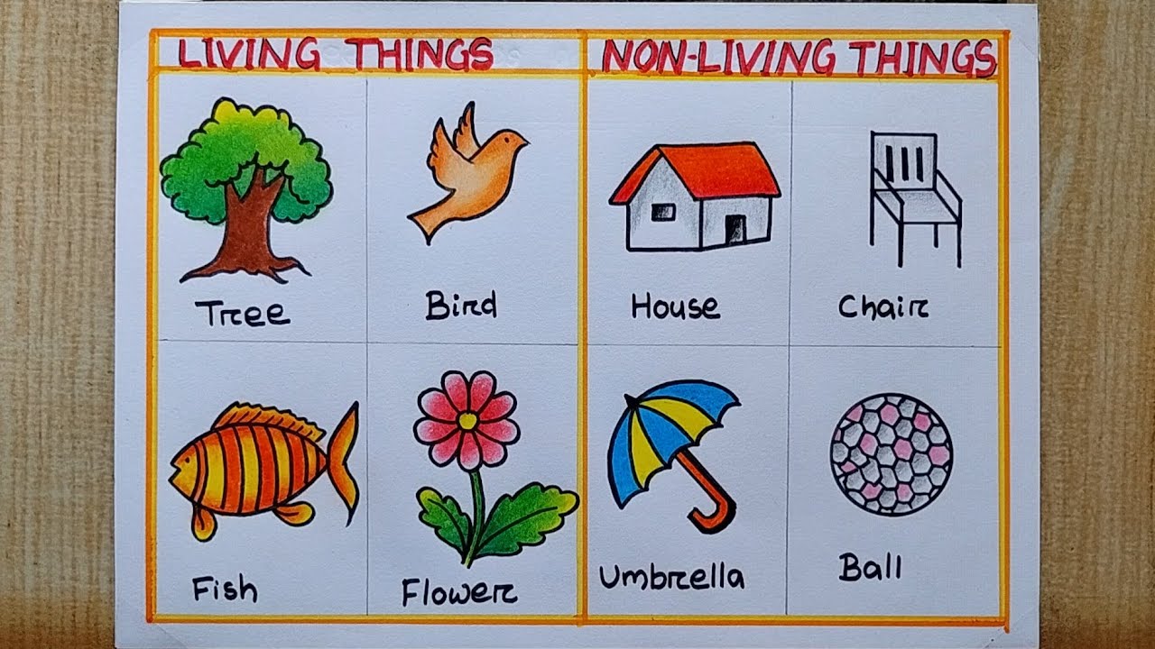 Living Things and Non-living things drawing easy| Living and Non-living things Chart drawing