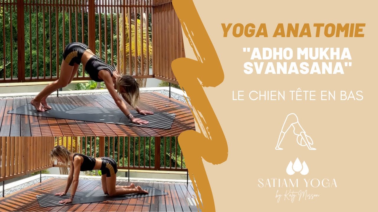 YOGA ANATOMIE - Adho Mukha Svanasana, chien tête en bas - Focus ALIGNEMENT et adaptation SOUPLESSE !