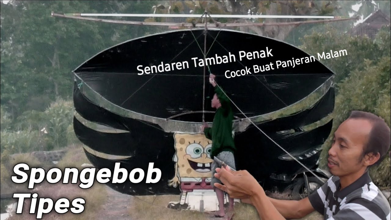 Layangan Spongebob Sepuh Suara Sendaren Tembus Dunia Malam