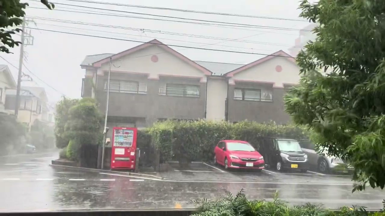 ASMR Loop Japan Violent Thunderstorm Rain 2025.08.08 Ambience Sound Sleep Meditate Tokyo