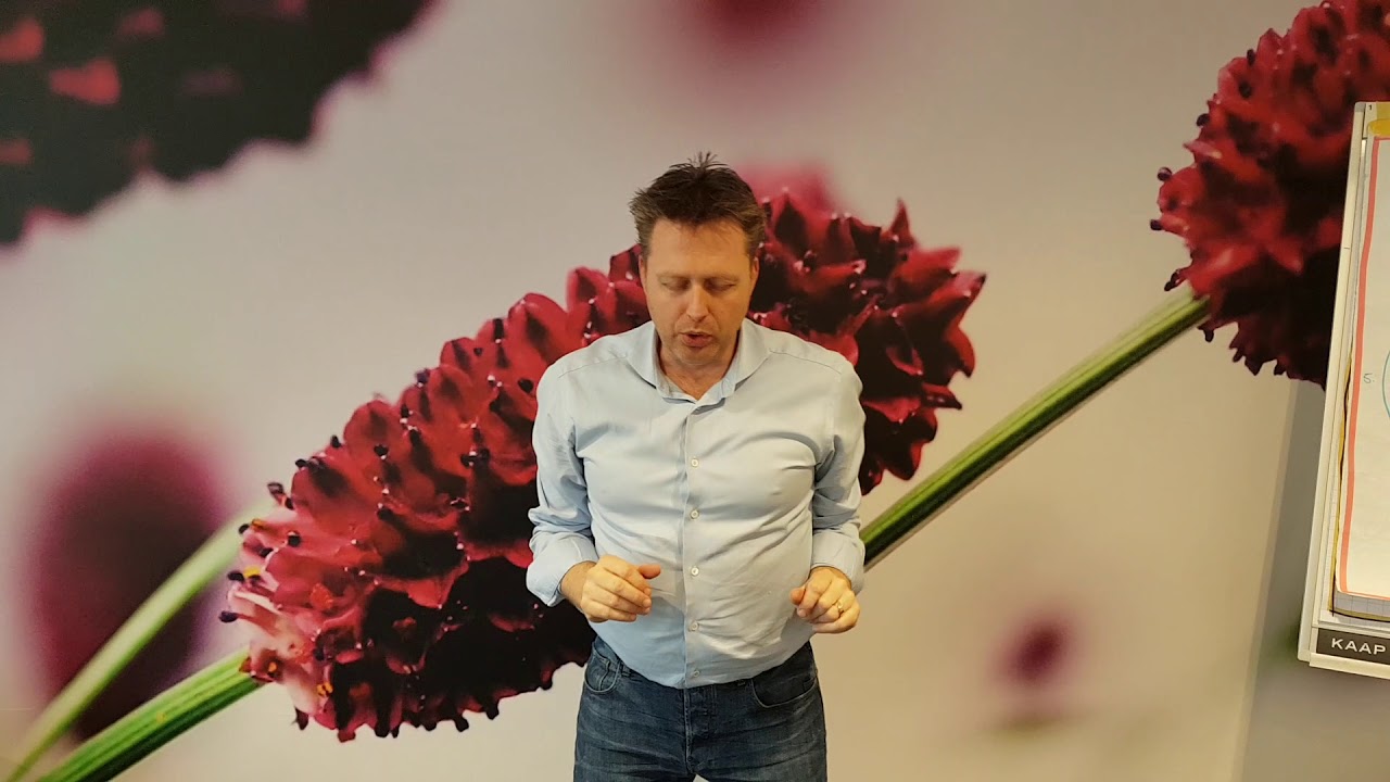 stap 0 van de kaizen