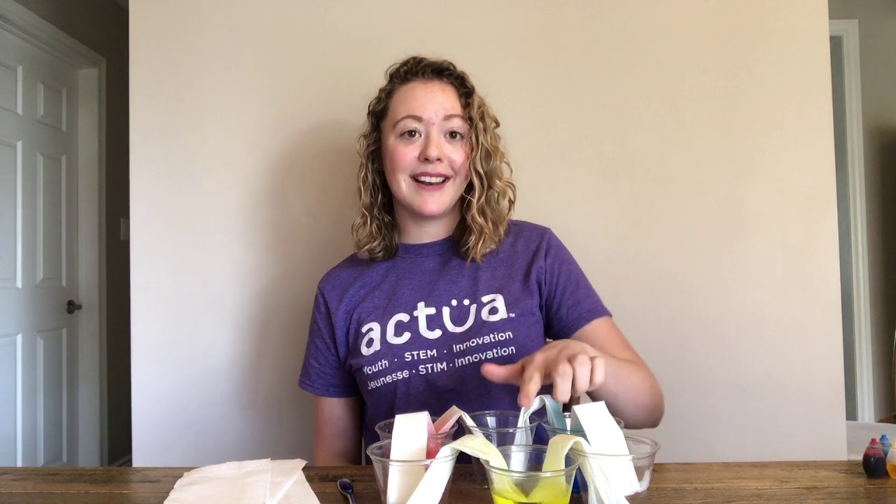 STEM at Home: Running Colours