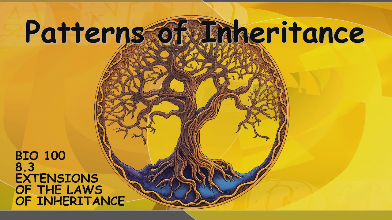 Patterns of Inheritance :  Extensions of the Law of Inheritance