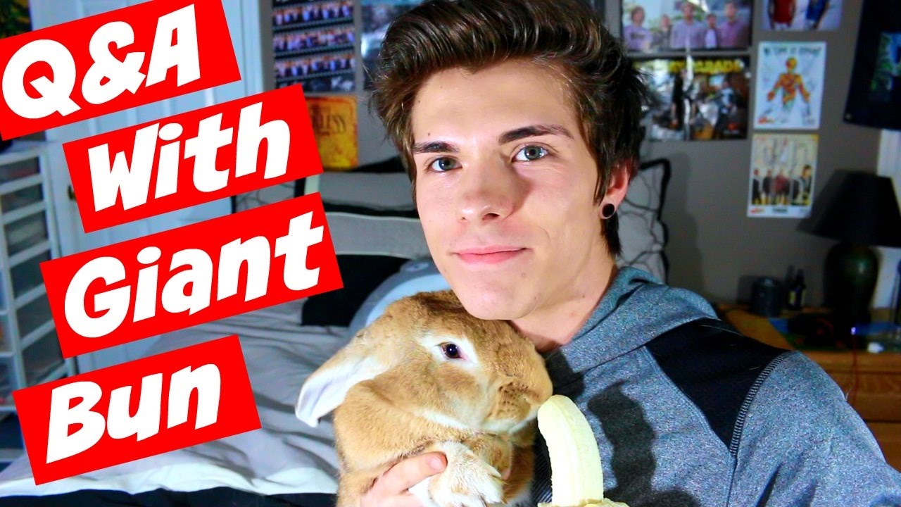 Q&A W/ MY GIANT BUNNY