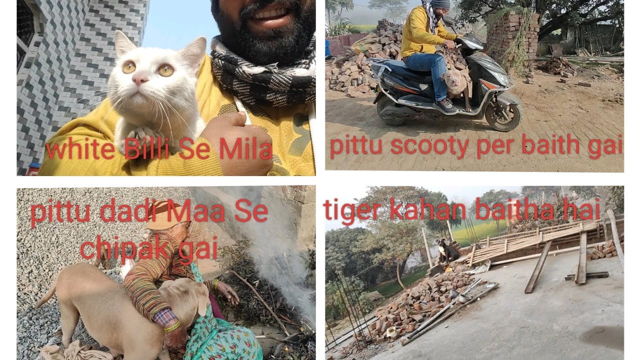 White Billi Se Mila.   Pittu ko scooty per baitha Diya 😱#subscribe #like #mychannel