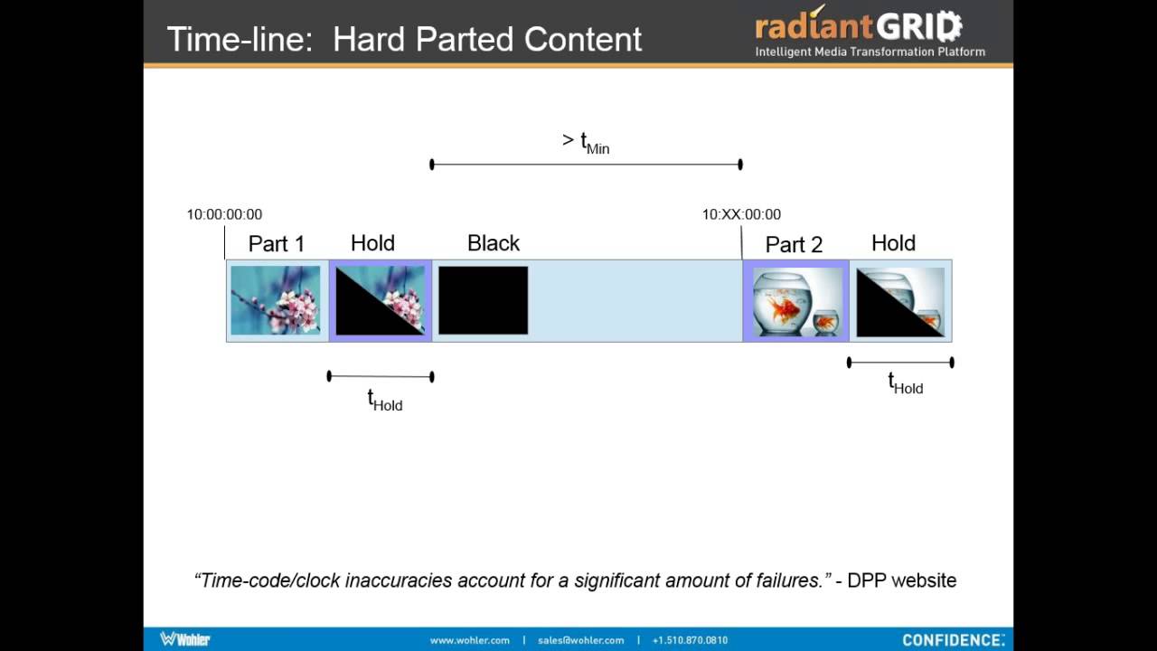 RadiantGrid Webinar: DPP Success Guide