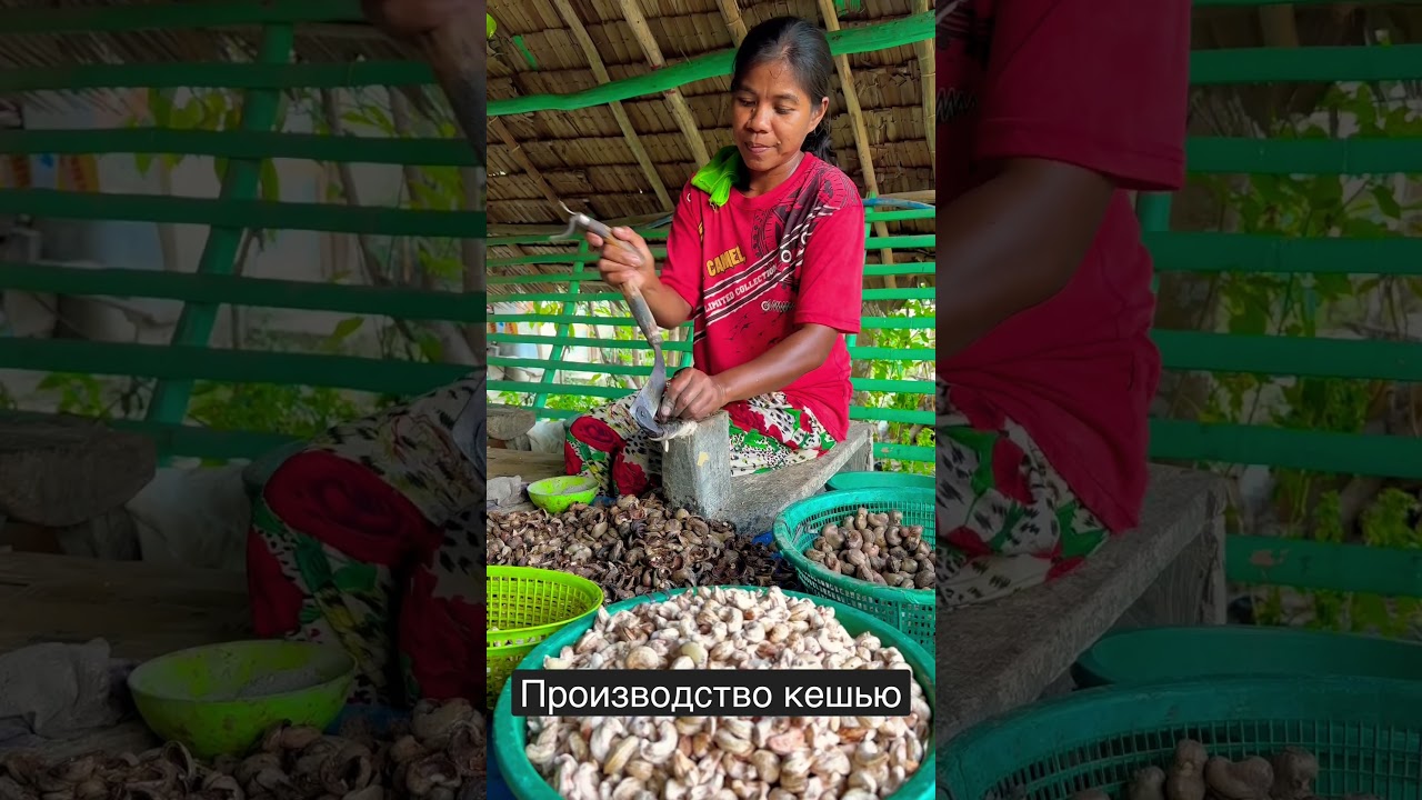 Производство орешков кешью на Палаване. Ручной труд. #филиппины #палаван #кешью