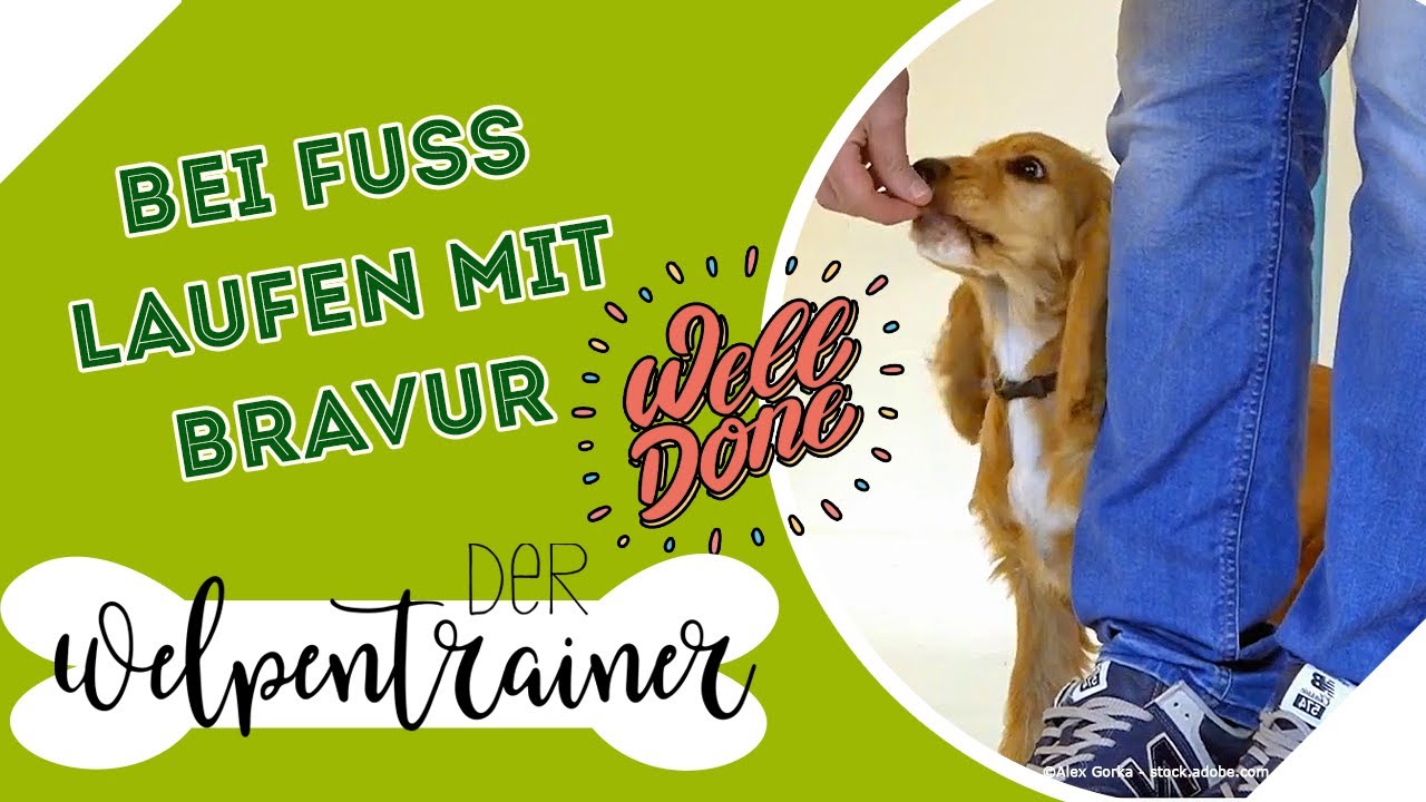 Tipps & Tricks rund um 