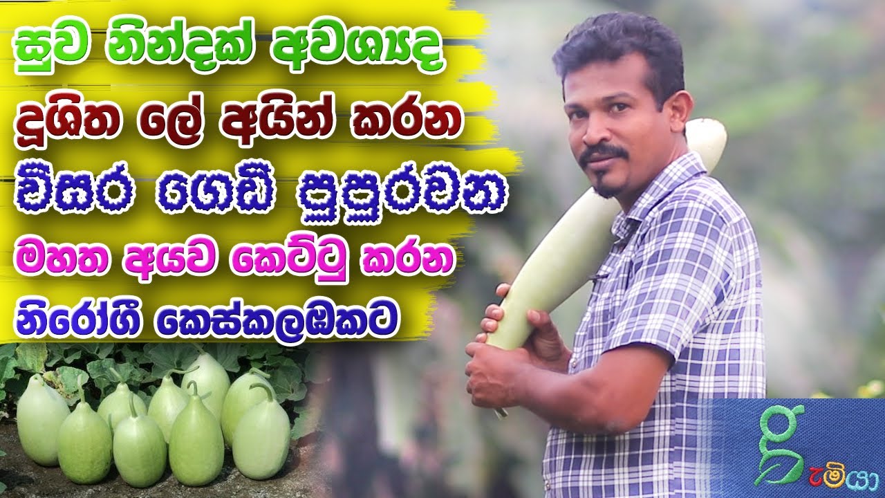 හිසකෙස් පිපිරීම නවතන සුව නින්දකට වගේම මහත අයව කෙට්ටු කරන හදවතේ මිතුරා
