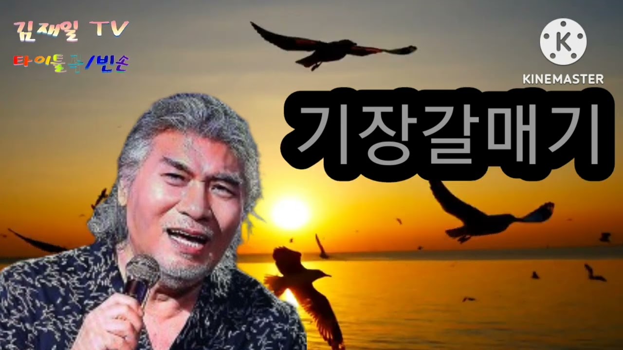 나훈아(기장갈매기)2023신곡(연속3번듣기)