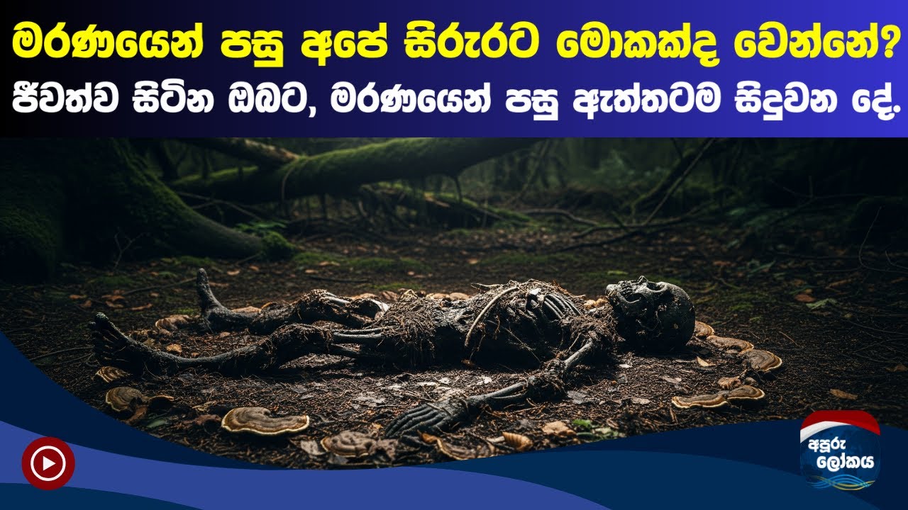 මරණයෙන් පසුව ඇත්තටම අපේ සිරුරට සිදුවන දේ.. | What Happens to the Human Body After Death? 🕯️