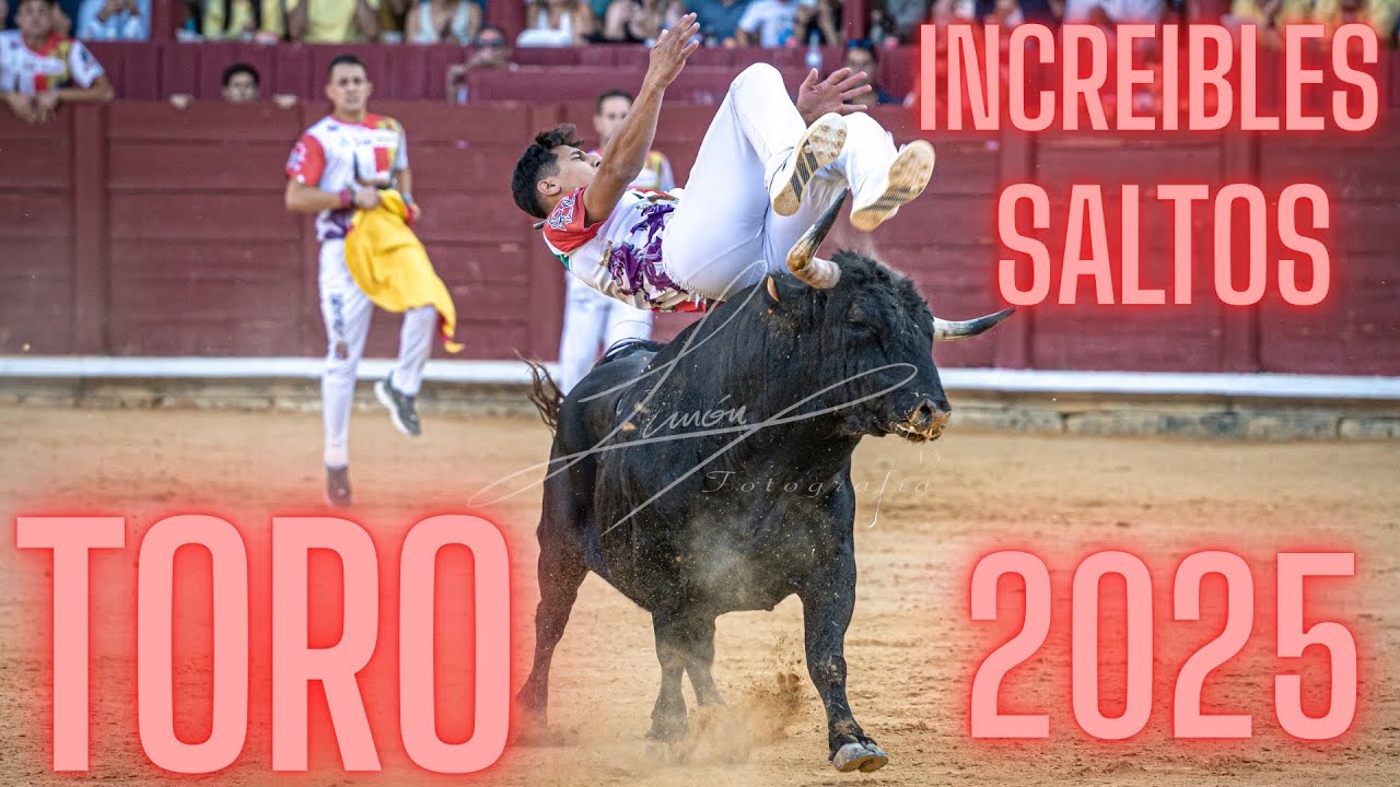 4// CONCURSO DE RECORTADORES CON TOROS BRAVOS TORO (ZAMORA) 2025
