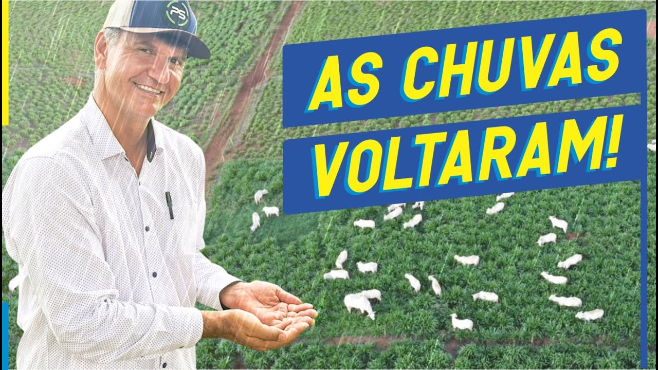 VEJA OS 4 MÓDULOS DE PASTEJO ROTACIONADO MAIS PRODUTIVOS DO BRASIL - IMAGENS AÉREAS.