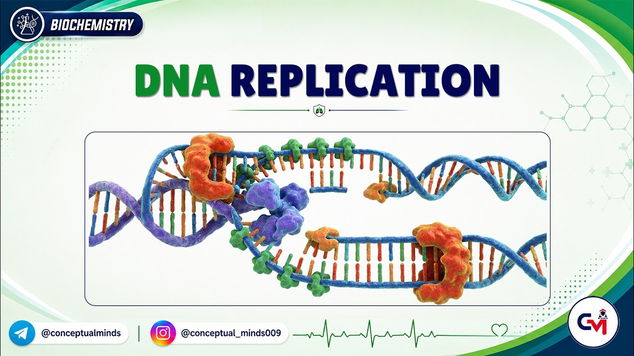5. DNA Replication 🧬⚡ | Enzymes, Steps & Fidelity | High-Yield USMLE Step 1