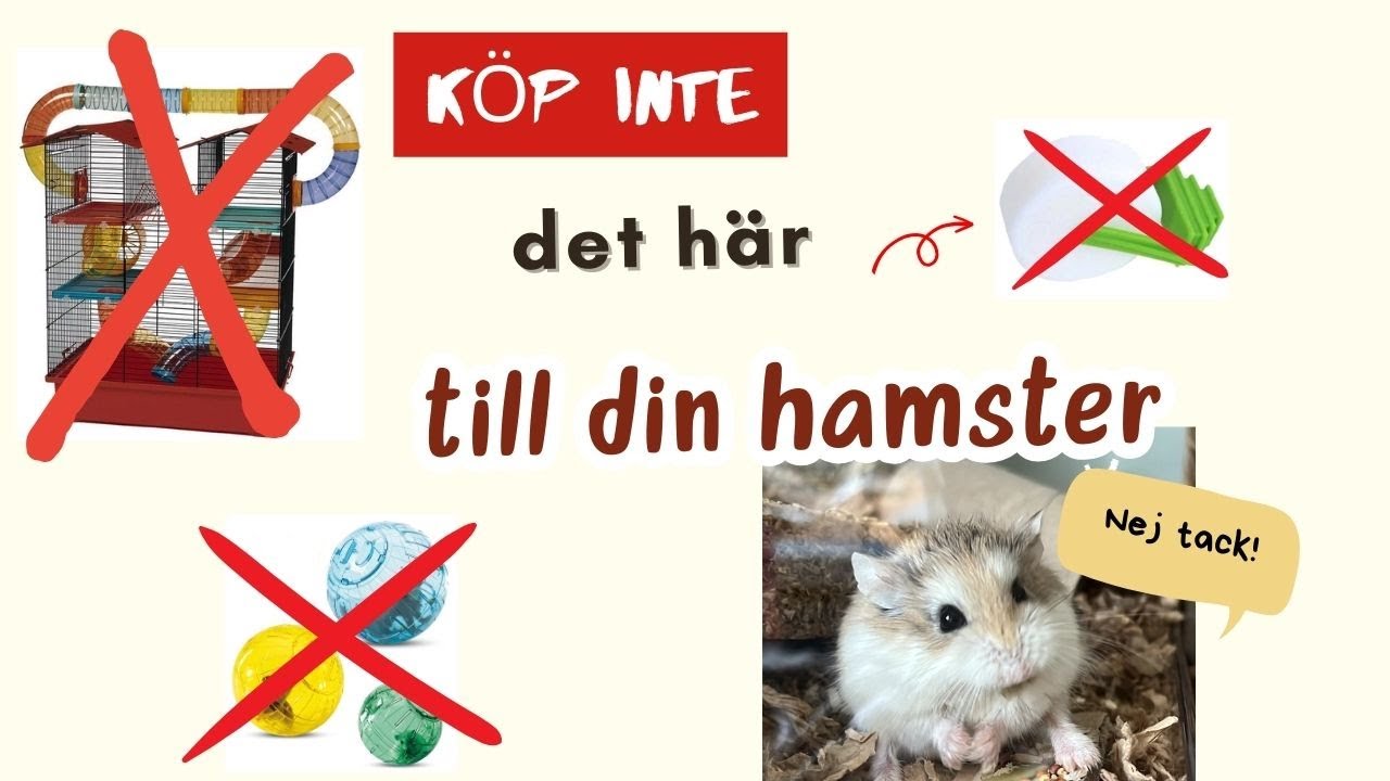 8 saker du inte ska k&ouml;pa till din hamster