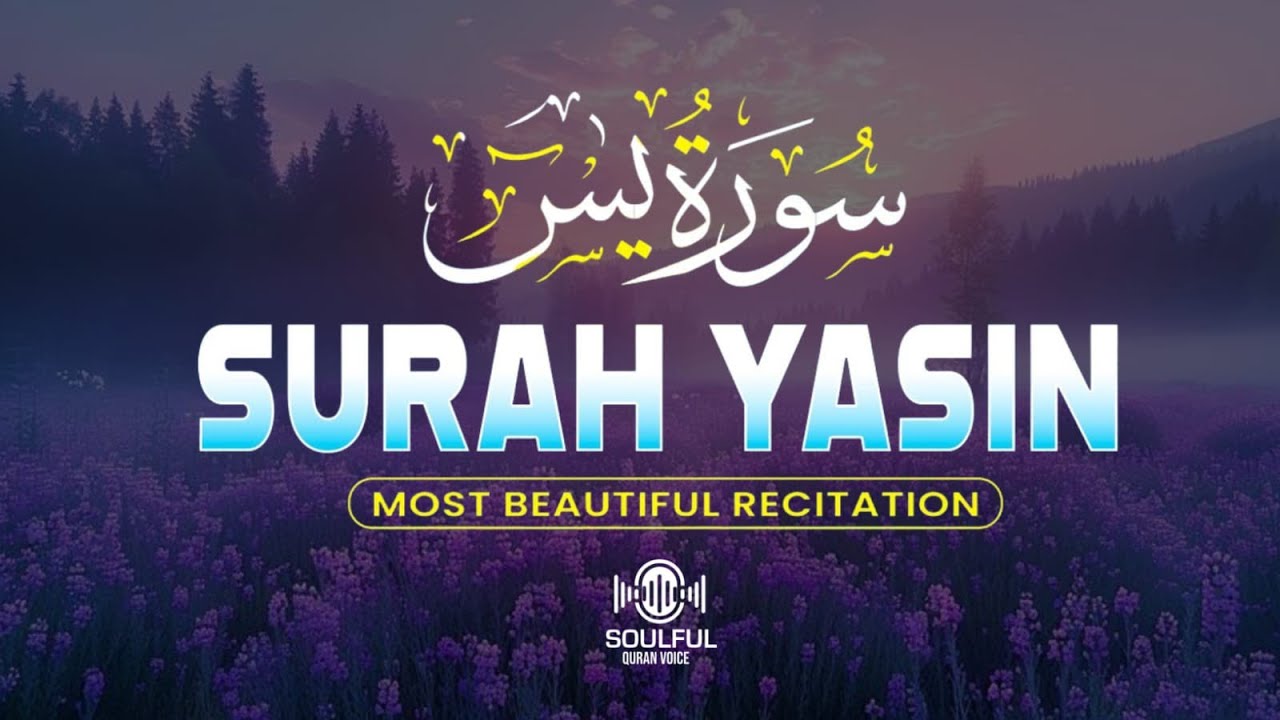 Surah Yaseen سورة يس | Relaxing Lofi Quan for Peaceful Sleep & Inner Calm | Quran for Sleep