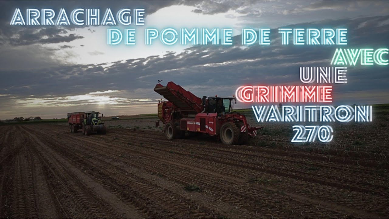 Arrachage de pomme de terre avec une Grimme Varitron 270