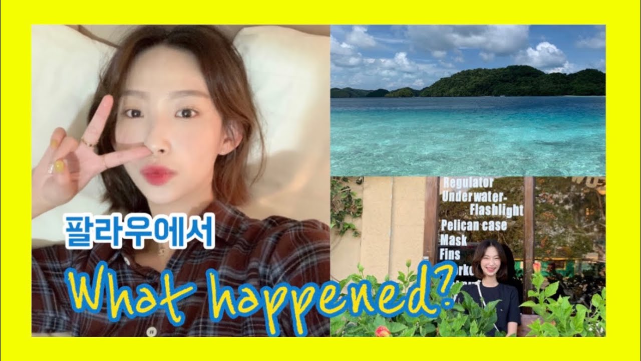 [해외 워크숍]오지의 나라 Palau에 가다!✈️ㅣ팔라우에서 무슨일이??!!