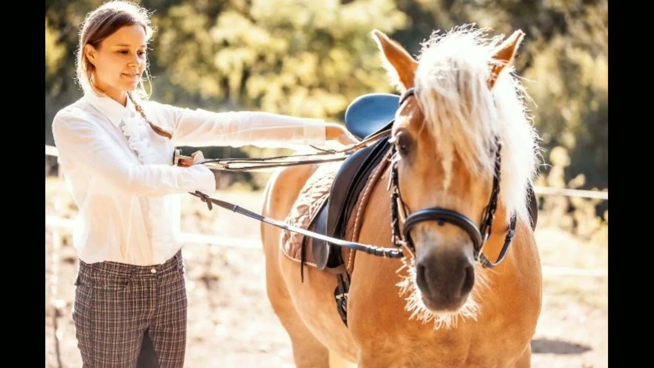 10 Amazing Facts About Horse | Amazing Facts in Hindi | Topic - Horse | #facts | #wellfacts