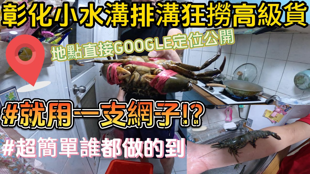 《彰化小水溝排溝》神奇小水溝 大沙公 沙母 手臂級大草蝦 花蟹 黑公 竟然還有土龍!?挑戰只用一根網子整晚玩不完 地點直接GOOGLE精準定位給你 又是誇張的一天!!#趕海 #做菜 #釣魚 #抓海鲜
