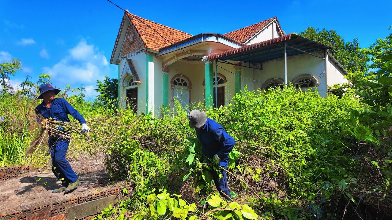 He Came Back to His Parents’ House After a Decade… What He Saw Brought Him to Tears