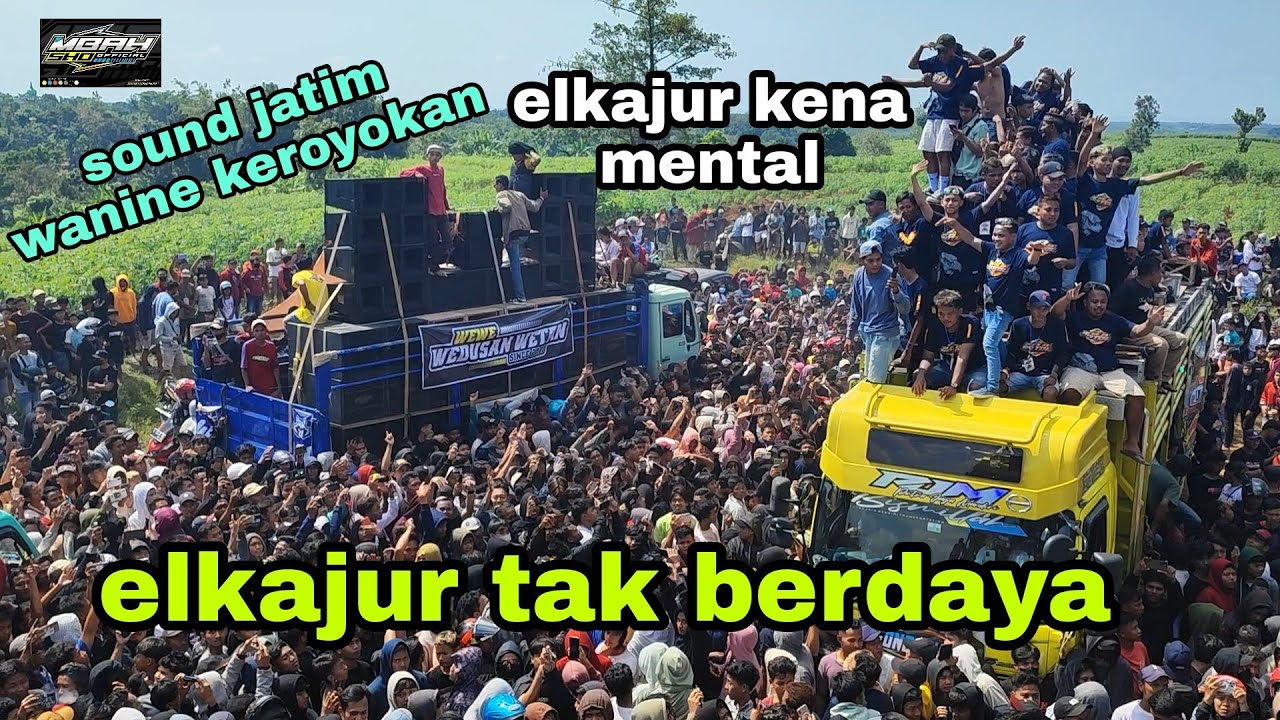 nggak butuh 15 jt ikilo tampanono mas bre bener 