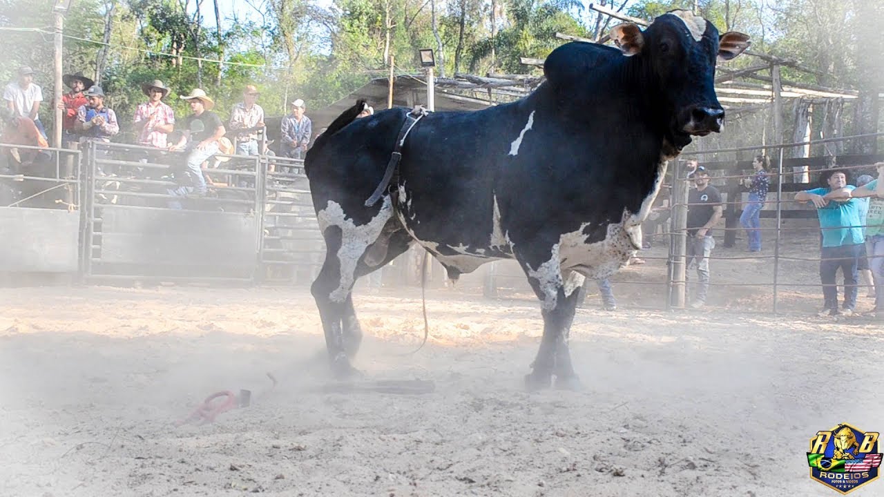 MONTARIAS- Curso de Luciano Felix Part 02