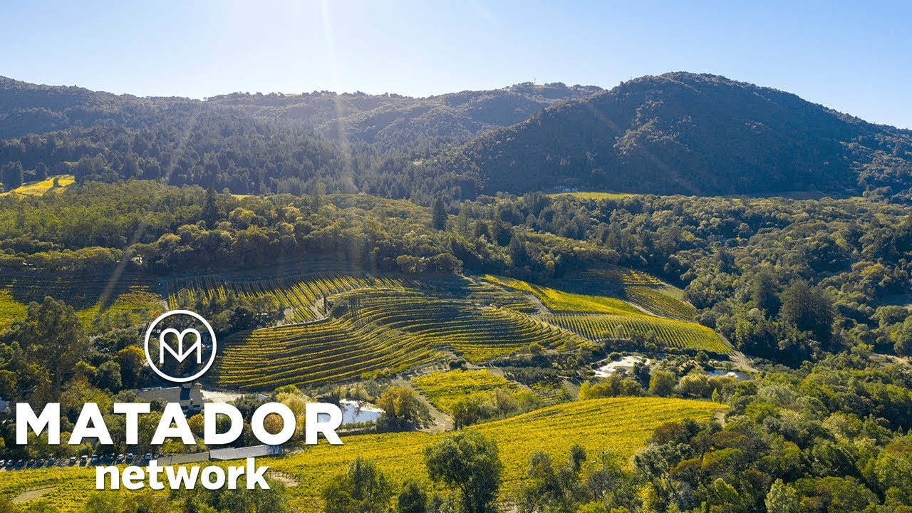 Explore Sonoma County On a Bike Ride Through the Vineyards