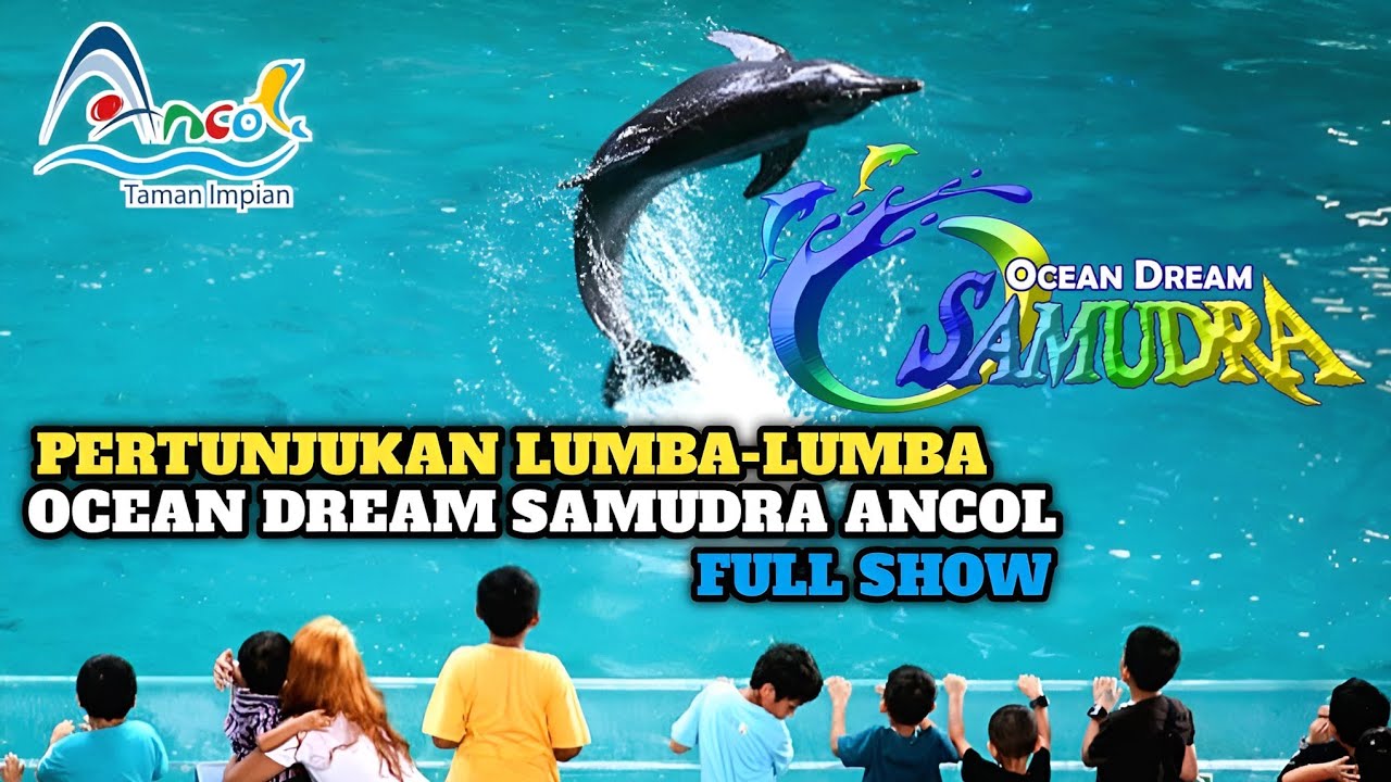 Pertunjukan Lumba-Lumba Ocean Dream Samudra Ancol || Full Show