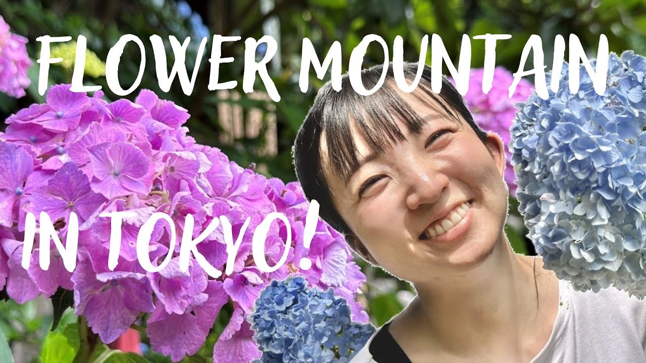 See flowers in Tokyo! the best timing travelling in Japan: Weaker Yen in 2023