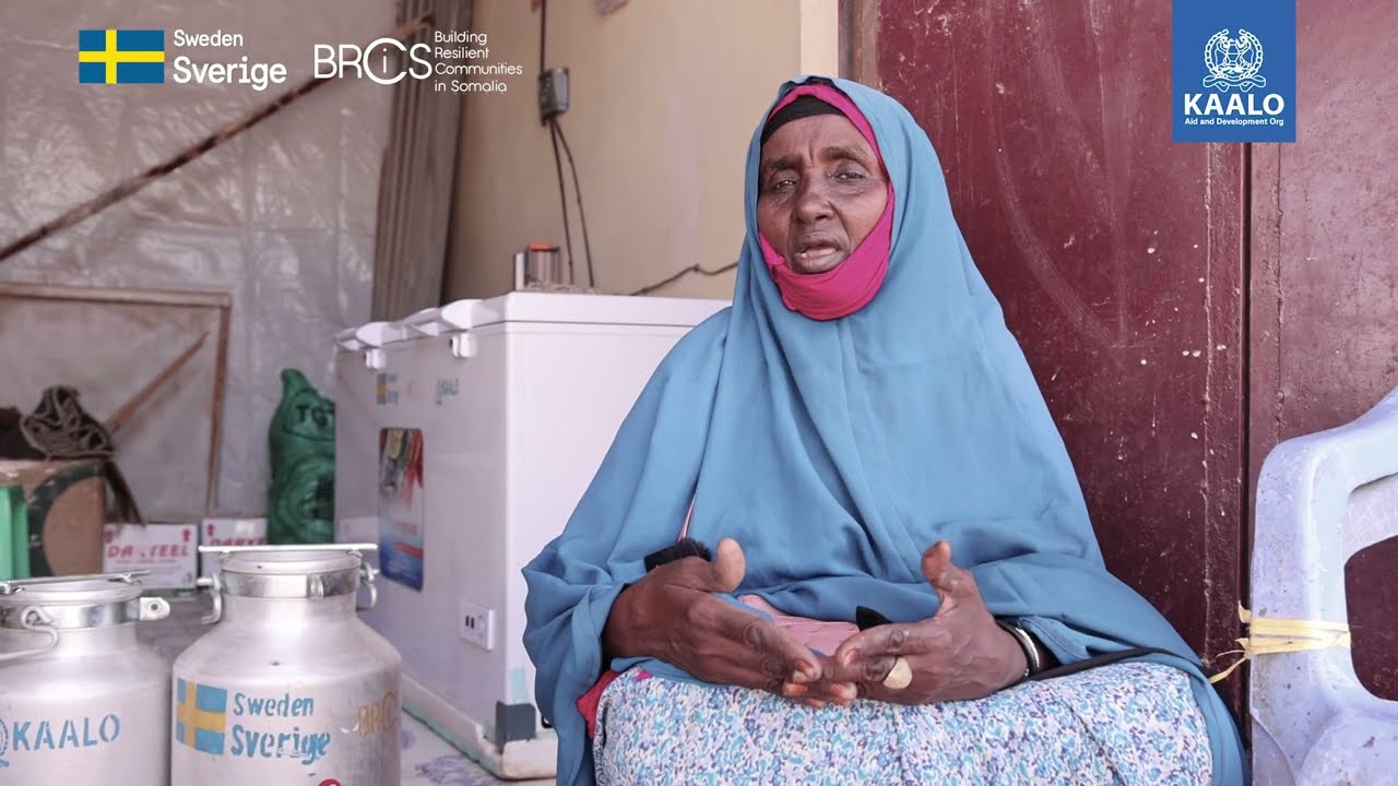 KAALO's TERRA project is working to enhance Milk production in Galkayo district.