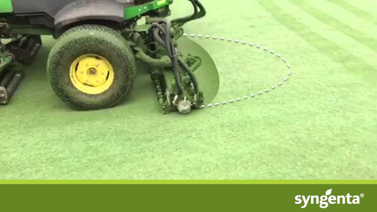 Primo Maxx Clippings Comparison