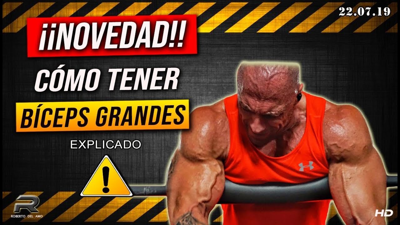 COMO TENER BICEPS GRANDES