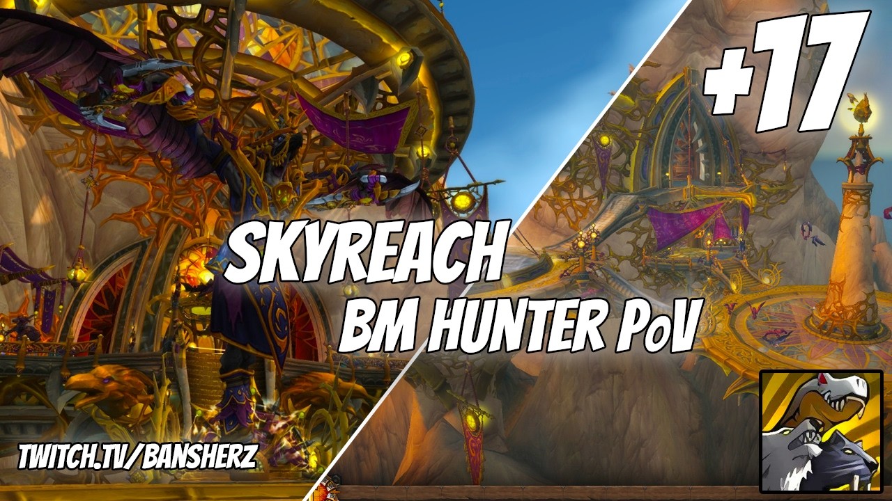 +17 Skyreach BM Hunter PoV