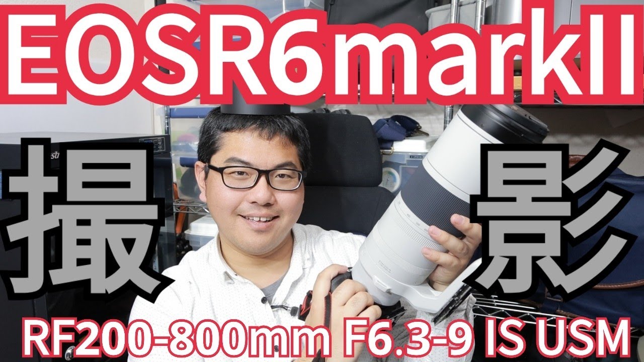 RF200-800mm F6.3-9 IS USM 撮影レビュー！EOS R6 Mark II