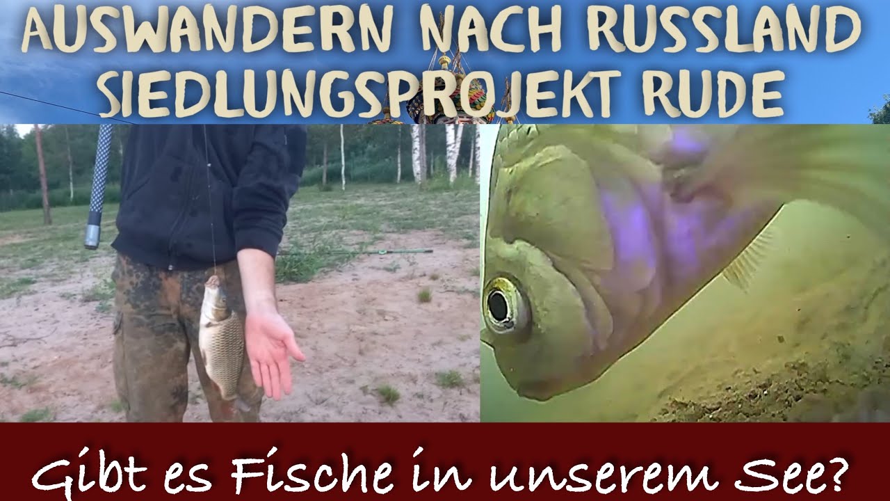 Baustellenupdate vom neuen Haus und gibt es wirklich Fische im neuen Badesee?