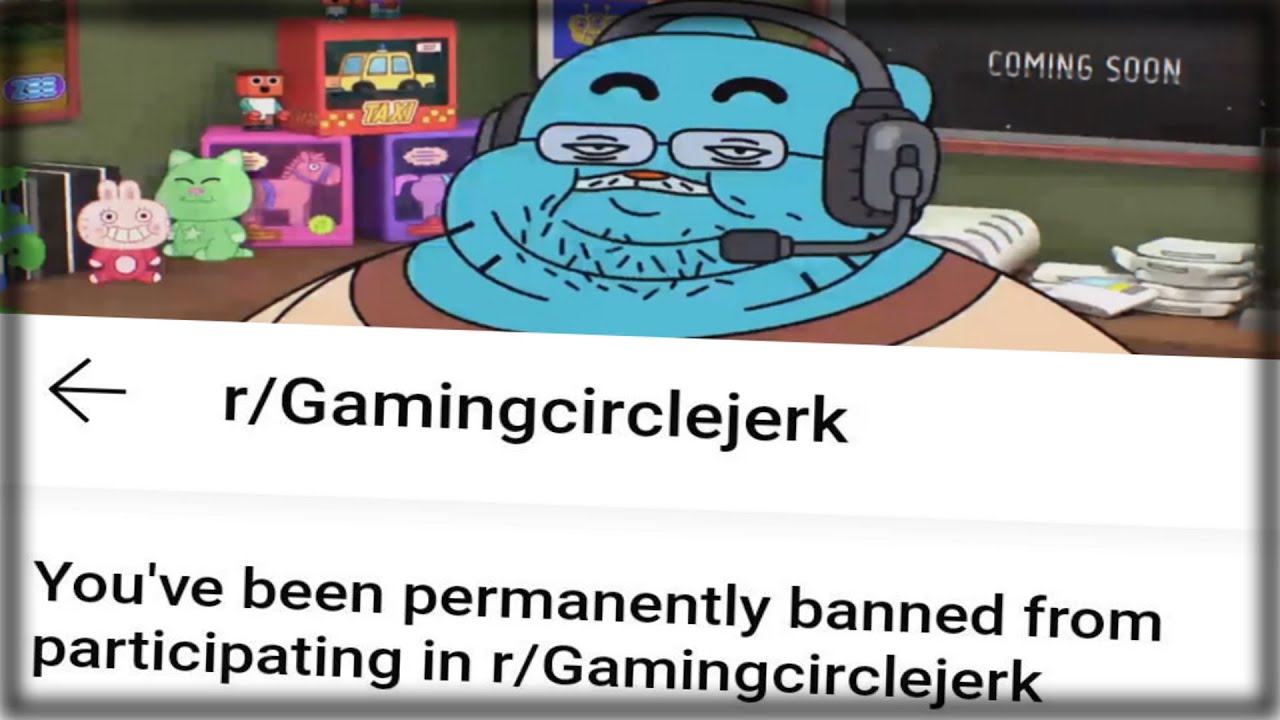 r/gamingcirclejerk was a mistake