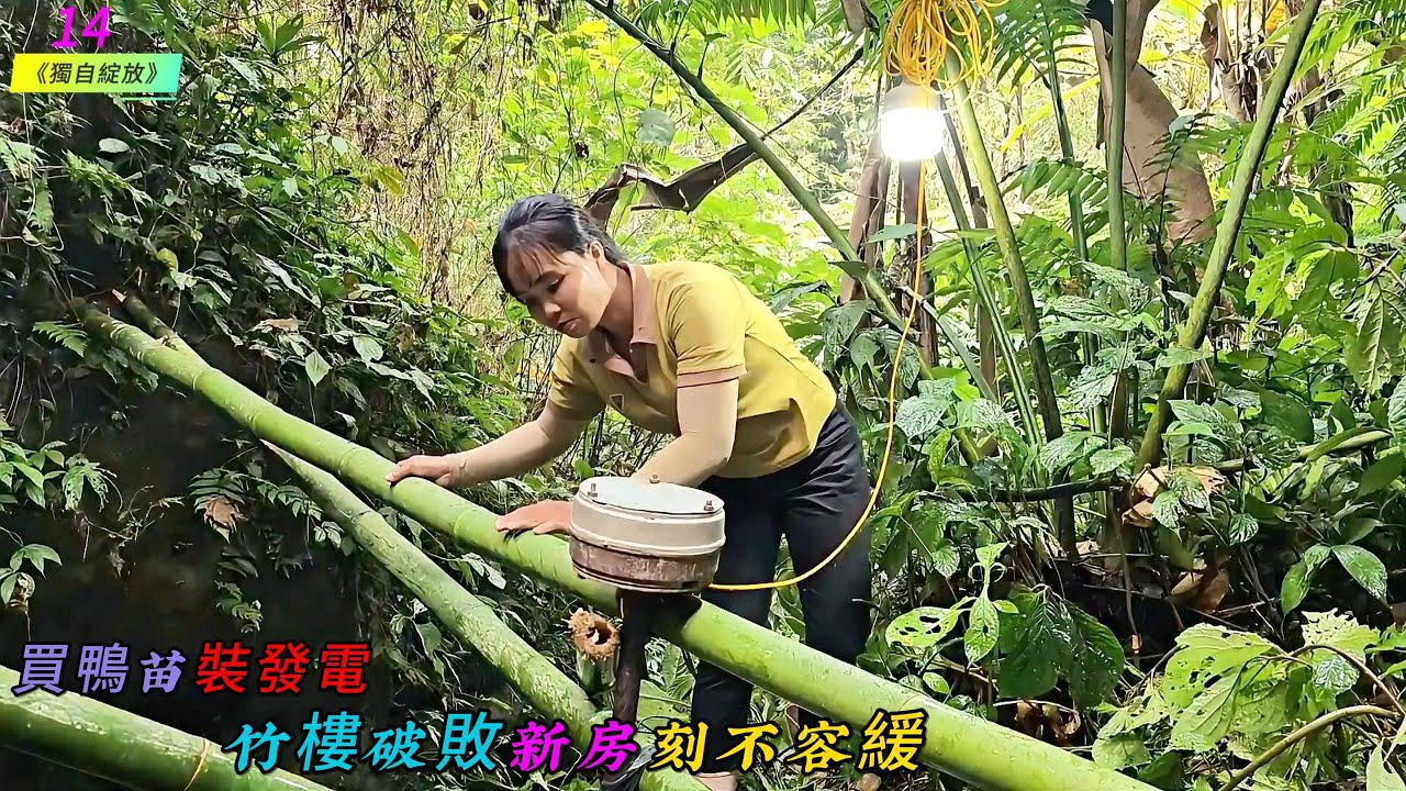 買鴨苗裝發電，竹樓破敗新房刻不容緩《獨自綻放》14