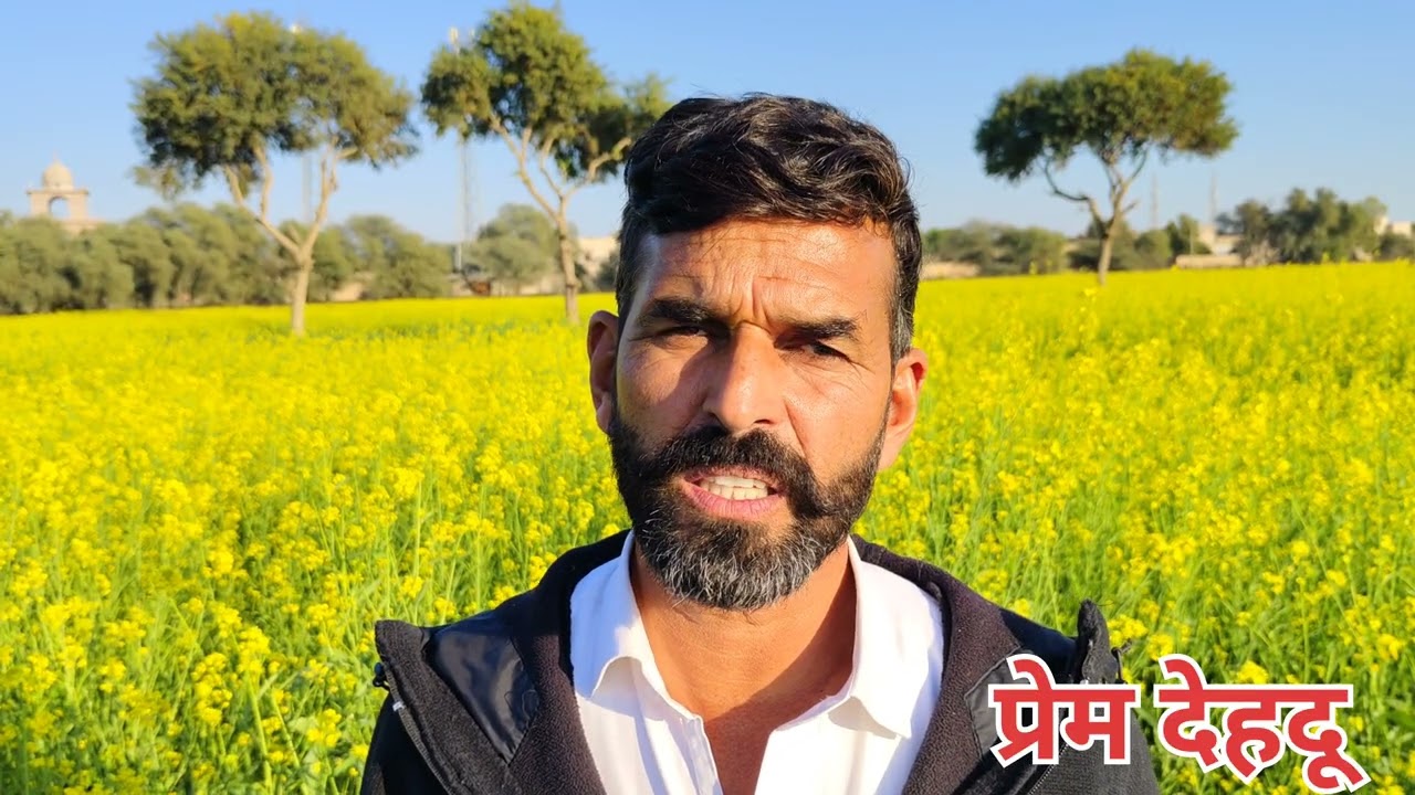 जनवरी महीने में अचानक से सिंचाई पानी का रेगुलेशन क्यों बदलना पड़ रहा है,,, जबकि पोंग डैम लबालब है,,,