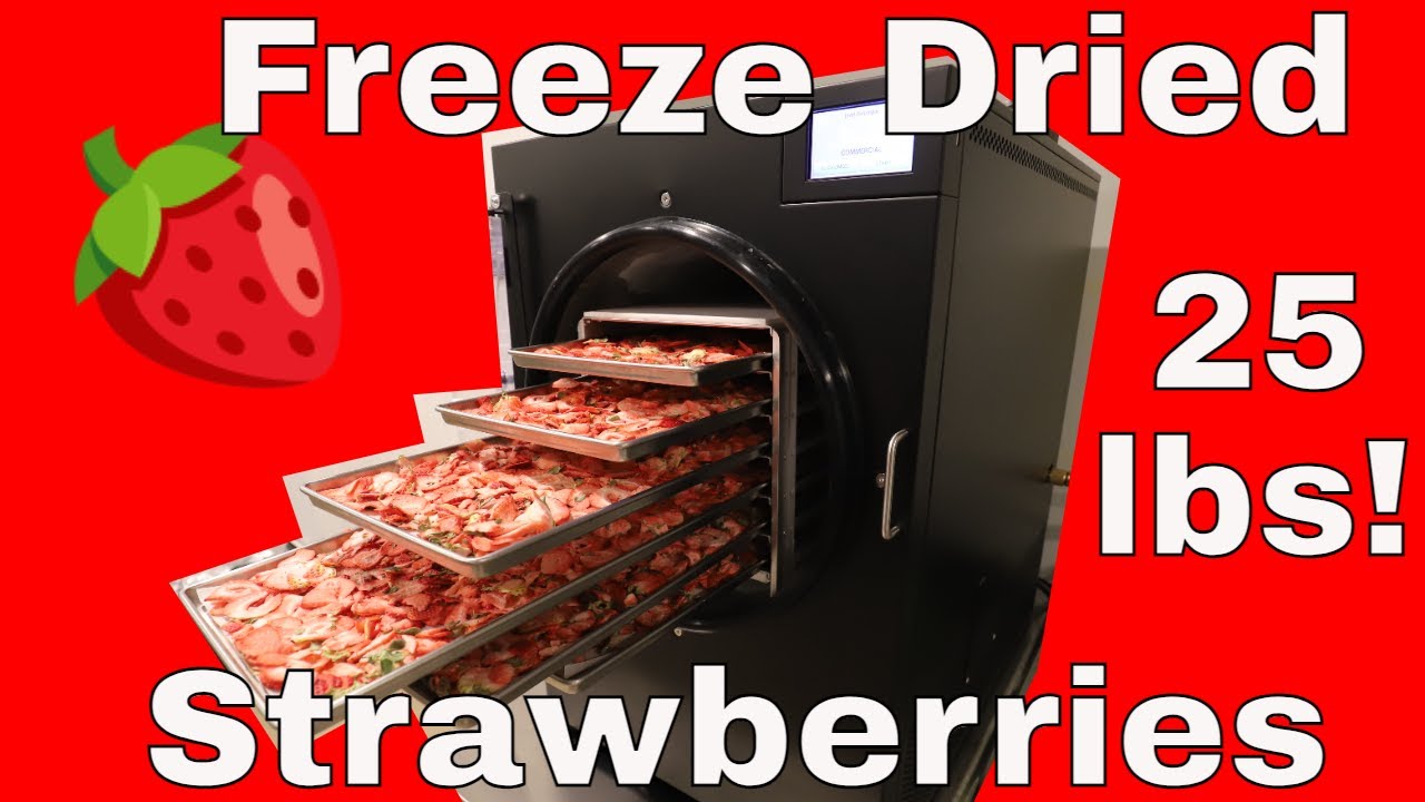 25 lbs. of Freeze Dried Strawberries!