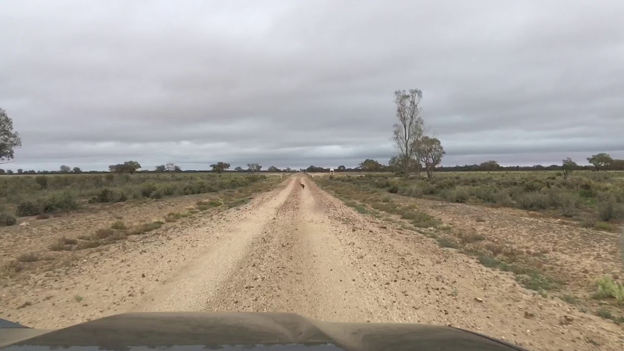 WILCANNIA MENINDEE POONCARIE
