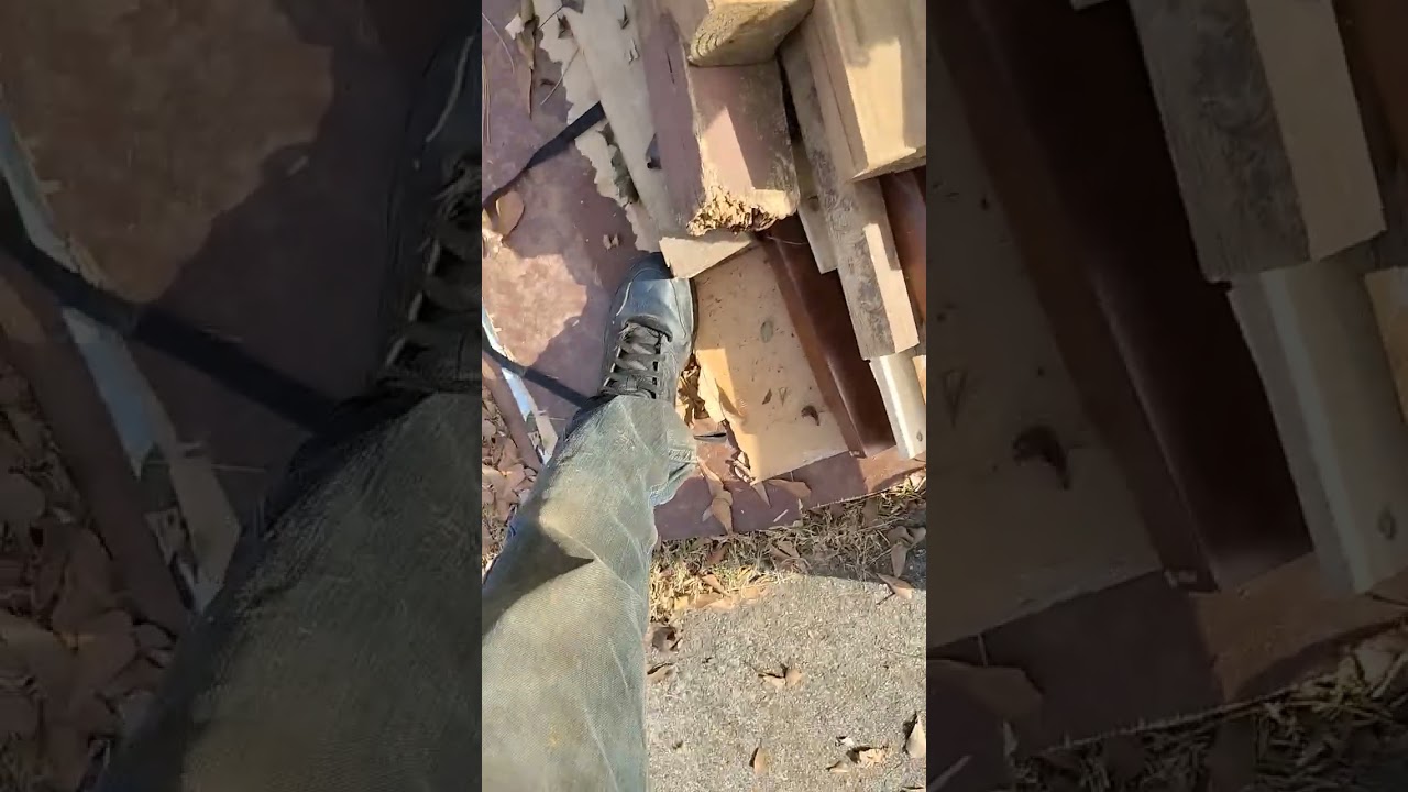 Waste management Wednesday Christmas eave bulk collection PART 106 on December 24 2025 at 11:06 AM