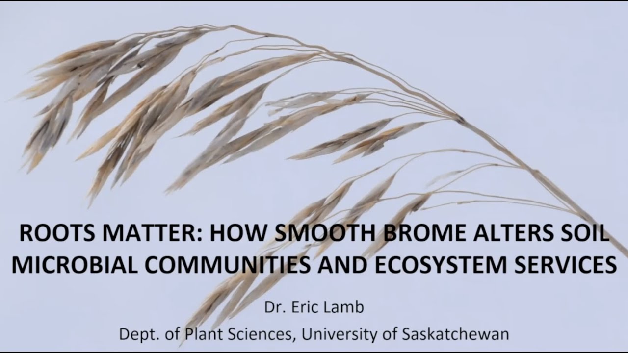 Roots Matter: How Smooth Brome Alters Structure of Soil Microbial Communities and Ecosystem Services