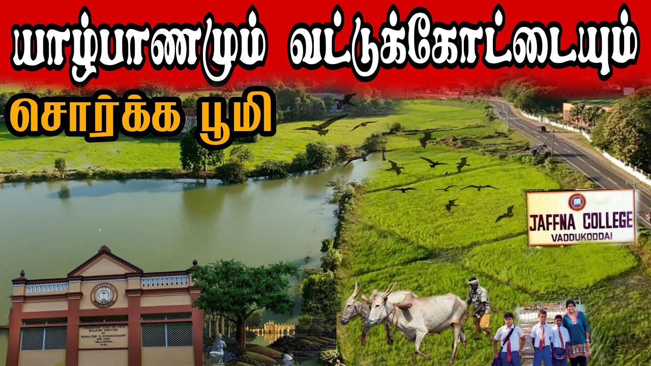 வட்டுக்கோட்டை நகரமா கிராமமா? Is Vaddukoddai a city or a village?