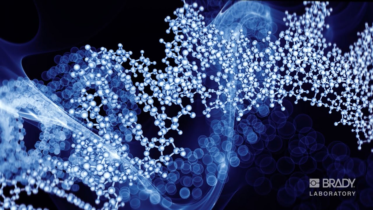 Brady Laboratory Identification Solutions