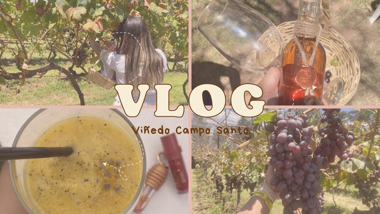 VINHEDO + degustação de vinhos 