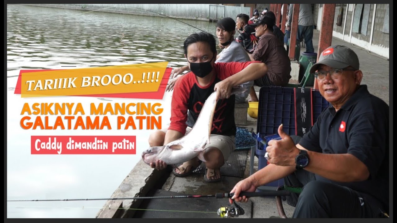 Asiknya Mancing Galatama Patin