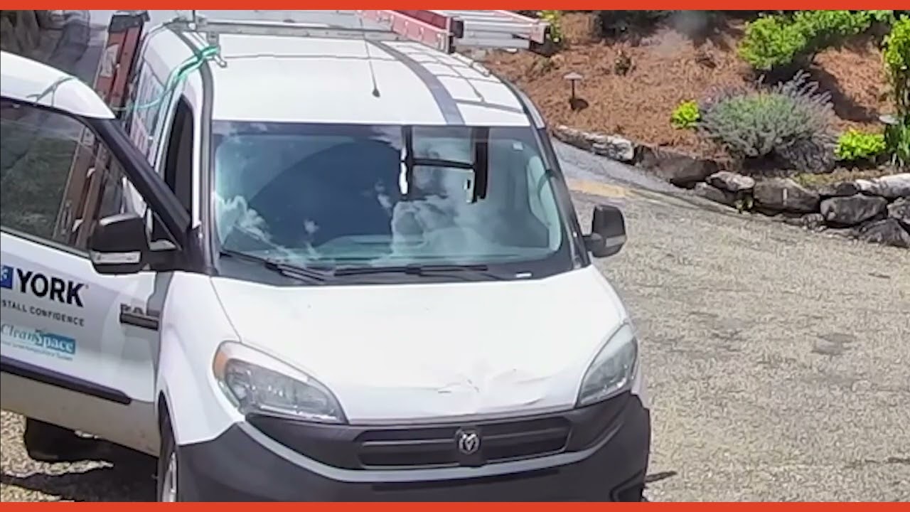 Wild Bear Pulls Off Perfect Heist at Our HVAC Jobsite (Real Security Footage) #bear #wildlife