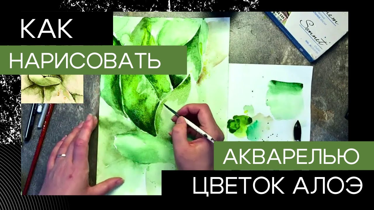 Цветы акварелью 🌿 Как нарисовать алоэ | Ботаническая иллюстрация